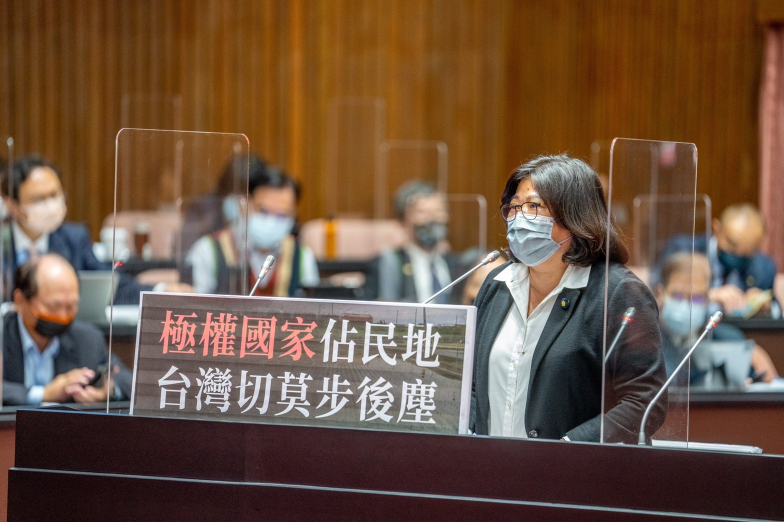 保衛台灣護民主　立委王美惠疾呼政府要積極作為 - https://www.watchmedia01.com