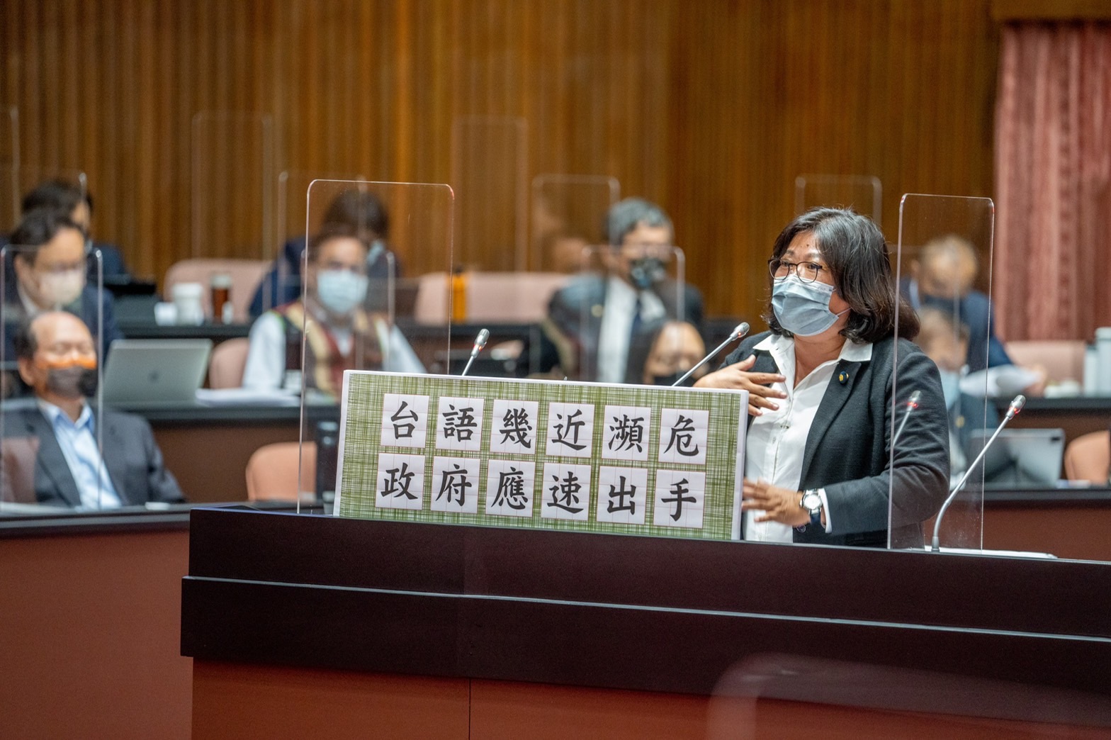 保衛台灣護民主　立委王美惠疾呼政府要積極作為 - https://www.watchmedia01.com