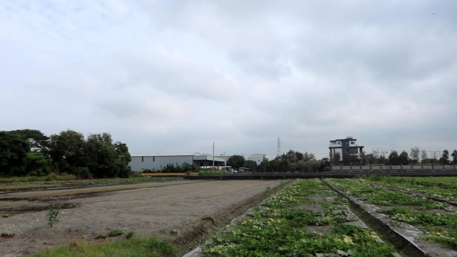 影／扼殺觀光產業 建大型雞糞堆置場引不滿　田尾鄉公所甩鍋給縣府 - https://www.watchmedia01.com