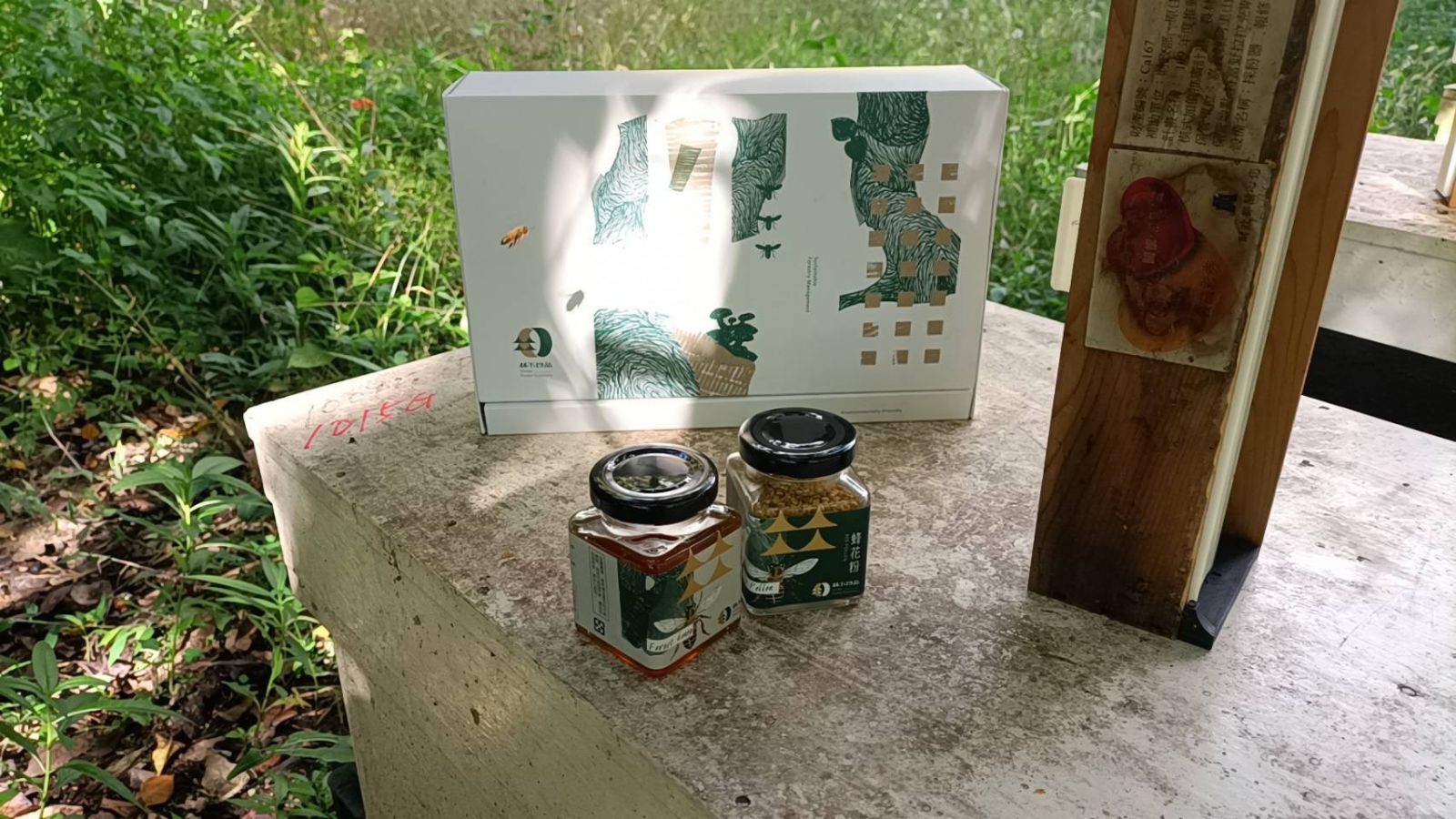影/看見森林的遠見 嘉義林管處與阿里山部落聯手打造林下經濟 - https://www.watchmedia01.com