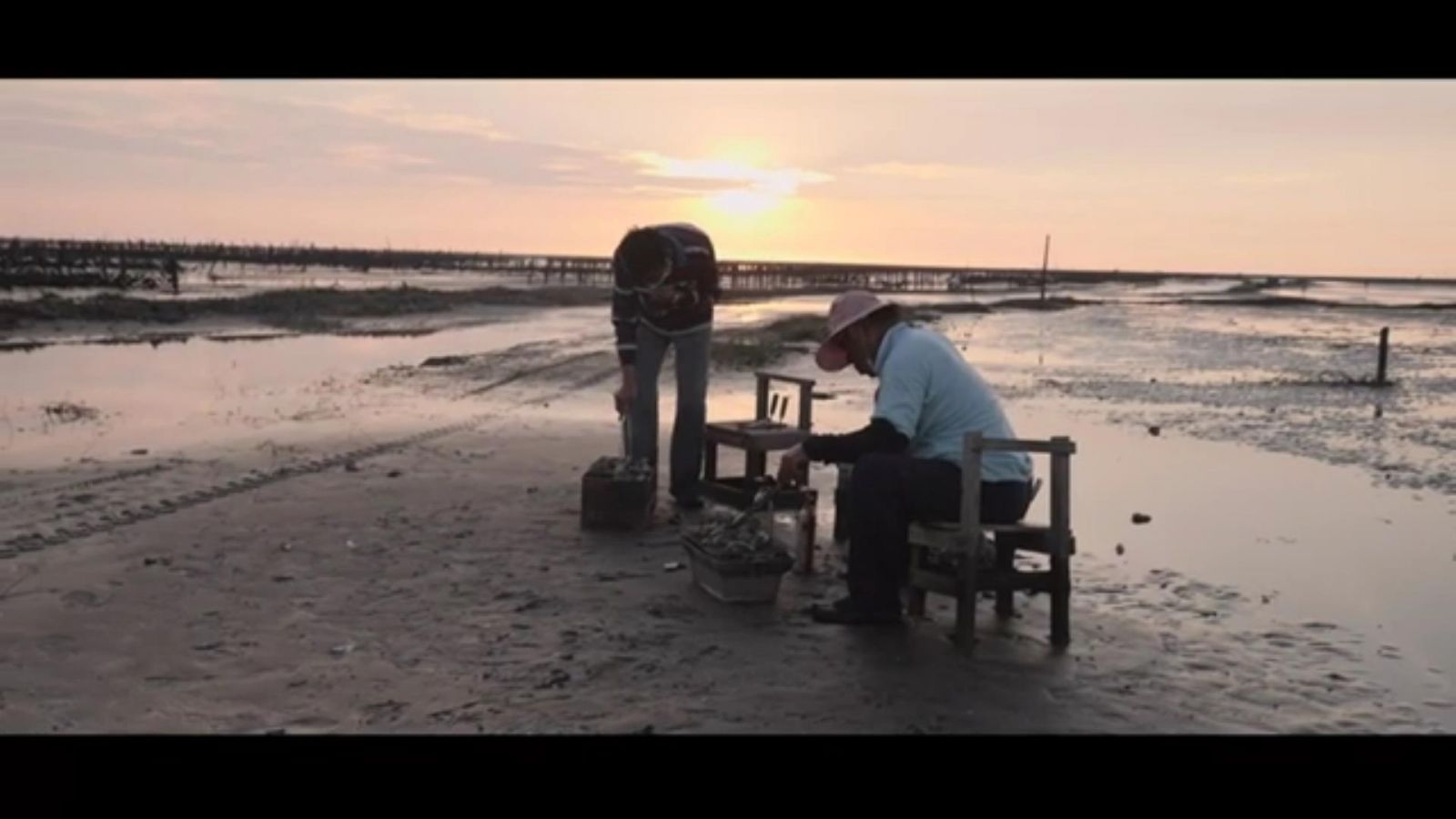 影／來場天和海的邂逅-彰化濱海大探索　「閃爍的珍珠」奪冠 - https://www.watchmedia01.com