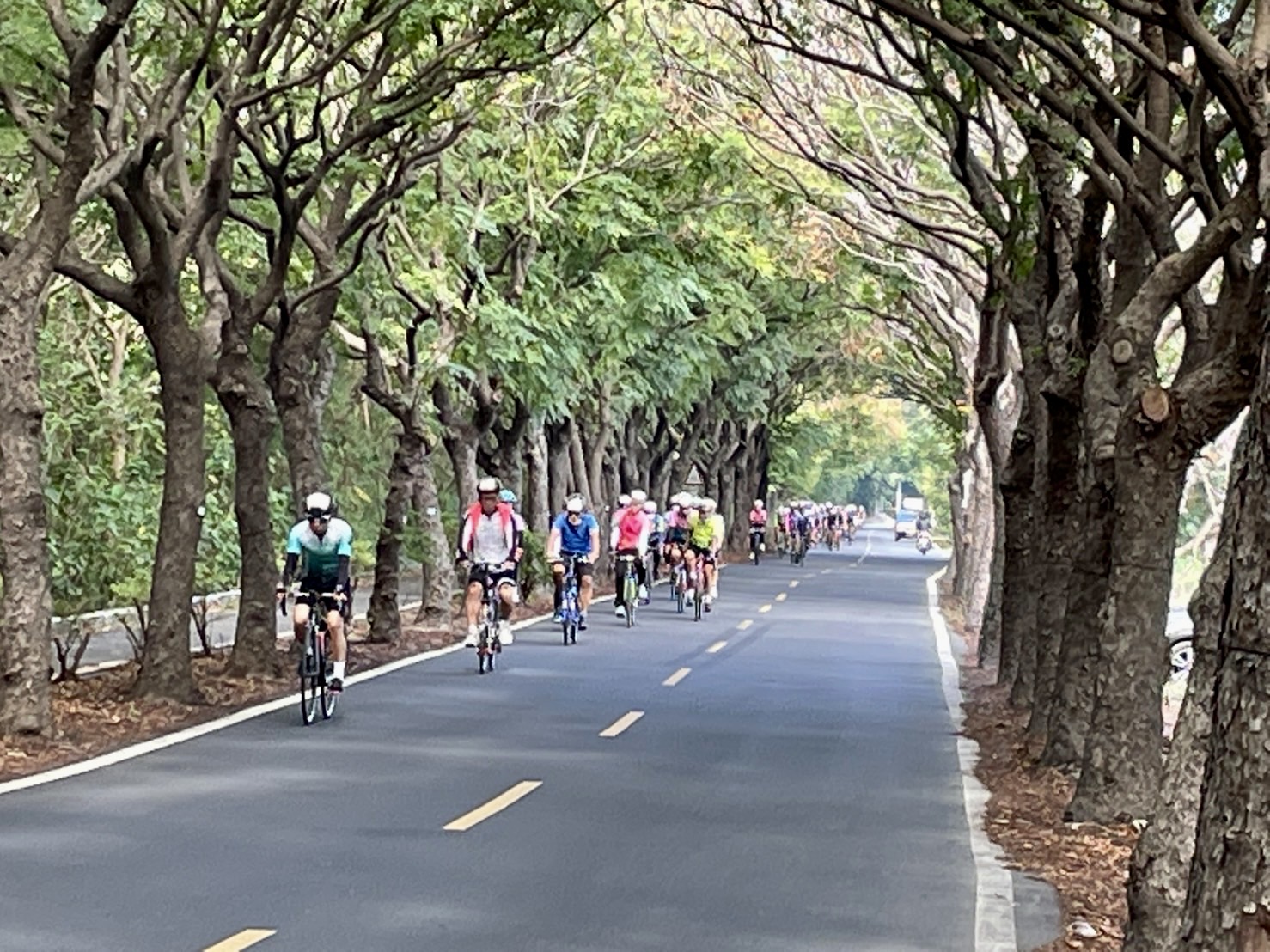 影／約騎卦山三鐵　單車遊體驗二水源泉黑泥田深度農遊 - https://www.watchmedia01.com