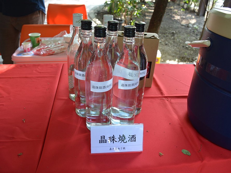 水稻香糯新品種 嘉大臺南糯3號加工與鮮食兼用 - https://www.watchmedia01.com