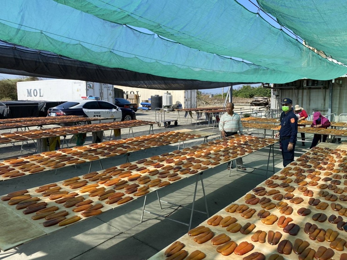 入冬「烏金」報到 警方推「烏魚子巡護專案」 - https://www.watchmedia01.com