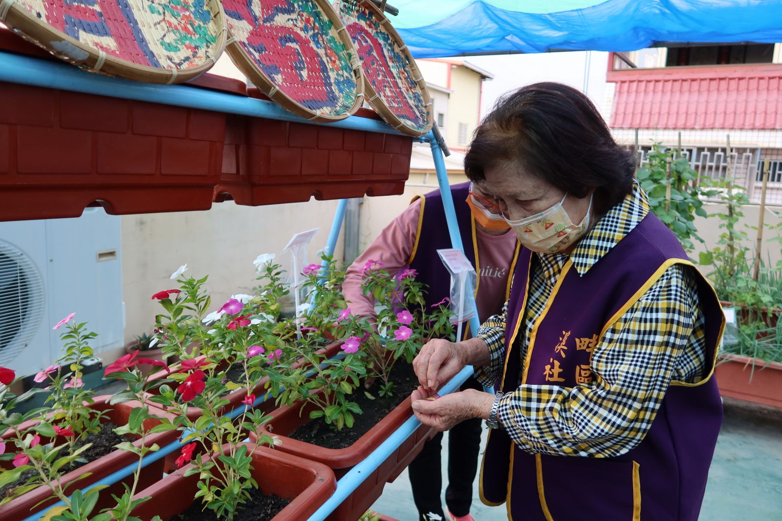 影／花鄉花藝彩繪與園藝療癒　溪畔社區教阿公阿嬤拈花惹草 - https://www.watchmedia01.com