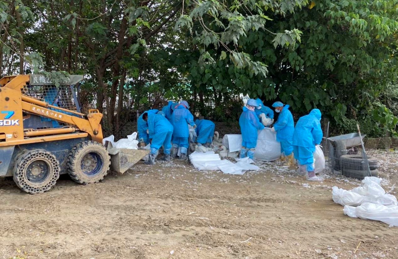 雲林新型H5N2禽流感來襲　國內首例｢禽｣員戒備 - https://www.watchmedia01.com