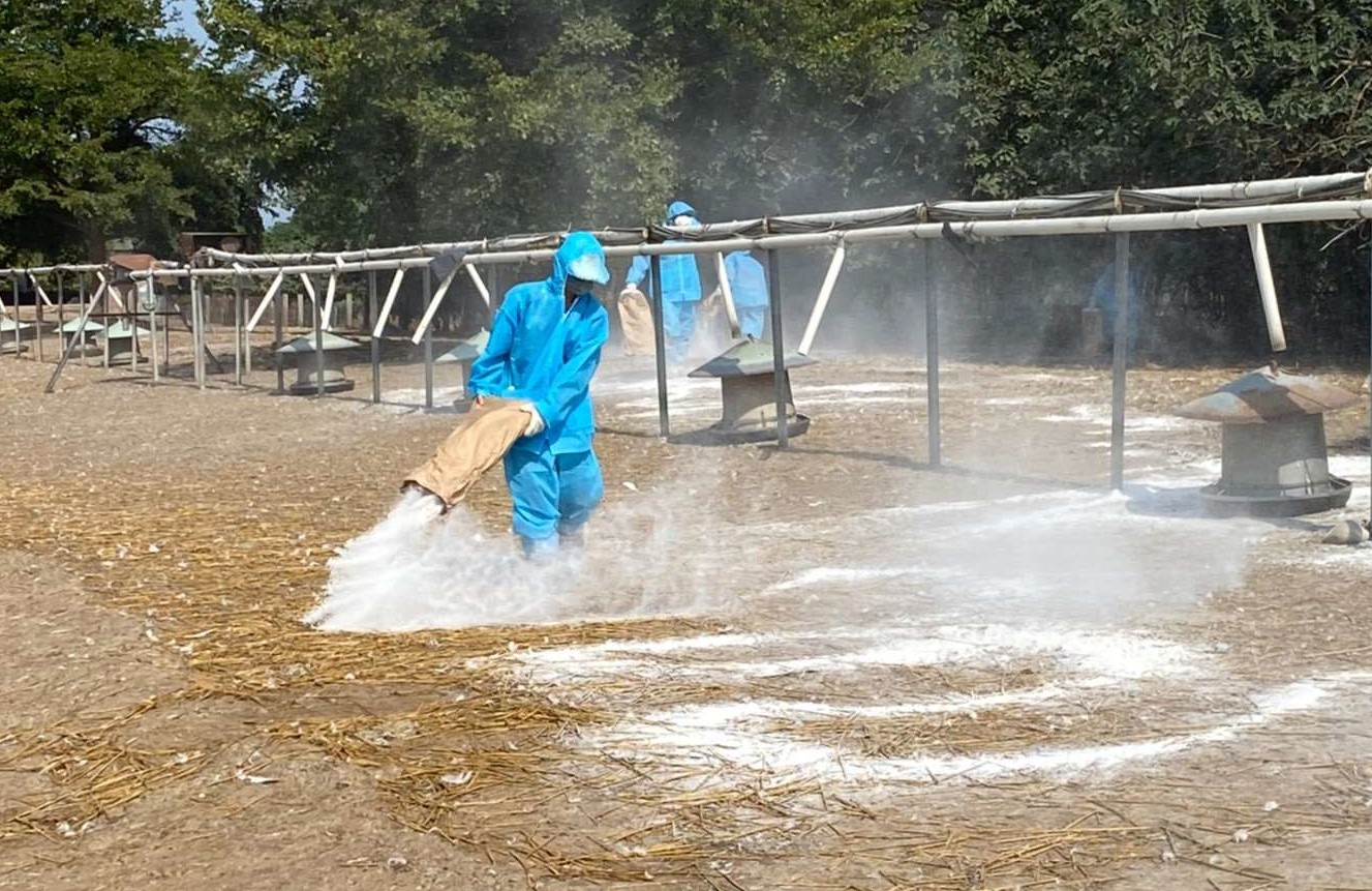 雲林新型H5N2禽流感來襲　國內首例｢禽｣員戒備 - https://www.watchmedia01.com