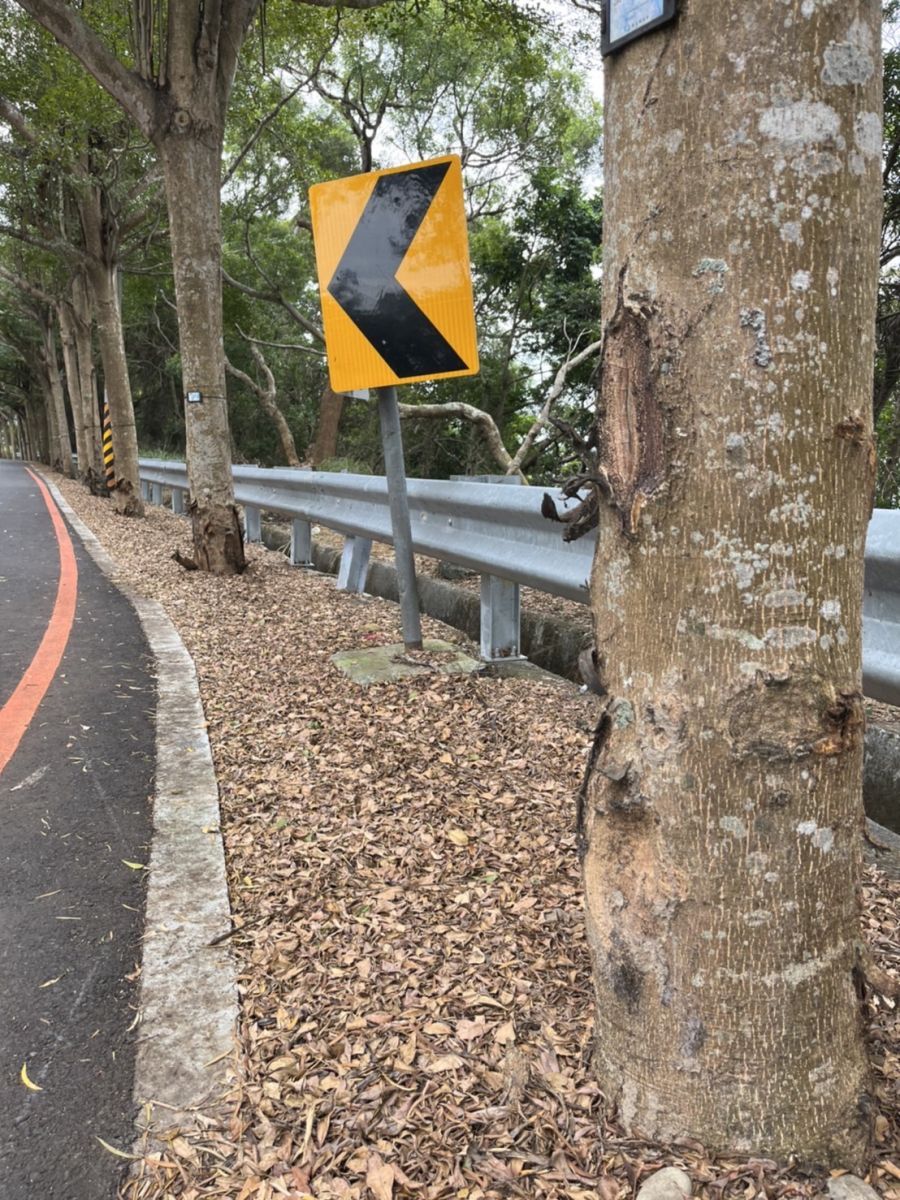 黃泉路！139線「死亡彎道」今年2大學生、1現役軍人殞命 - https://www.watchmedia01.com