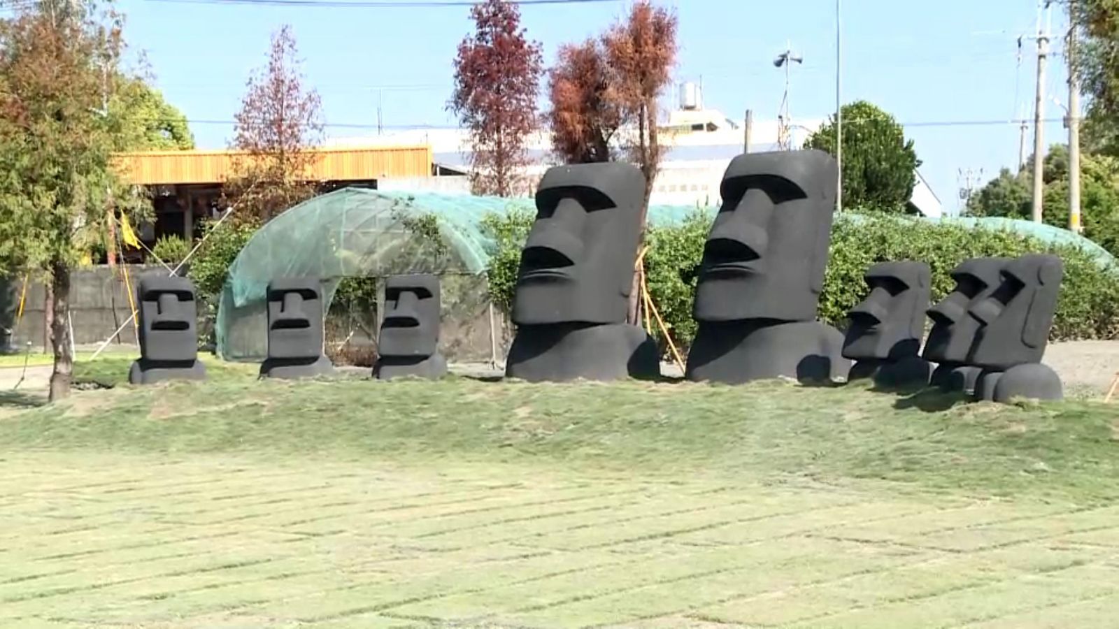 影／歡迎拈花惹草　花現美好田尾植物產地市集　拍網美照 - https://www.watchmedia01.com