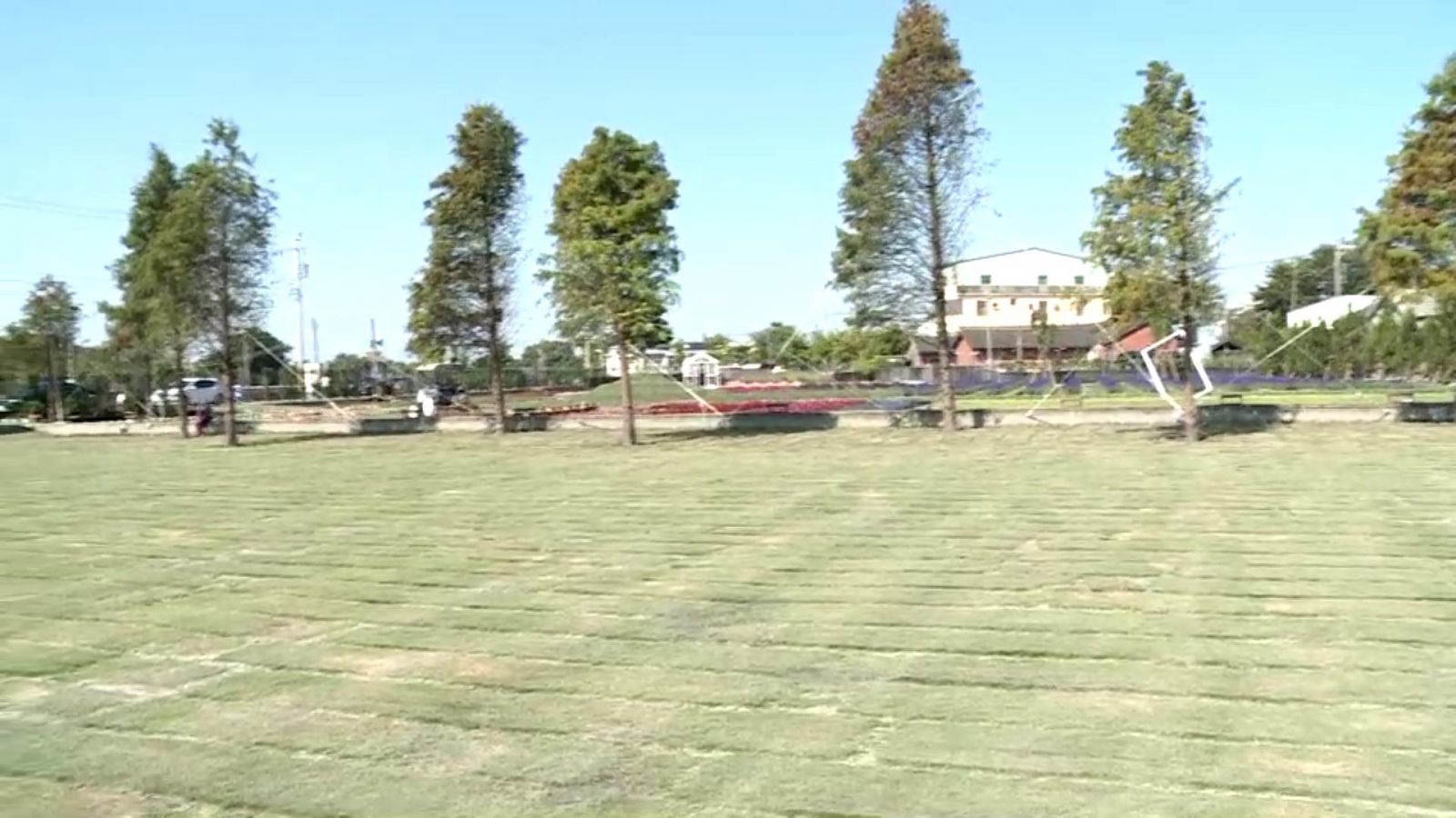 影／歡迎拈花惹草　花現美好田尾植物產地市集　拍網美照 - https://www.watchmedia01.com