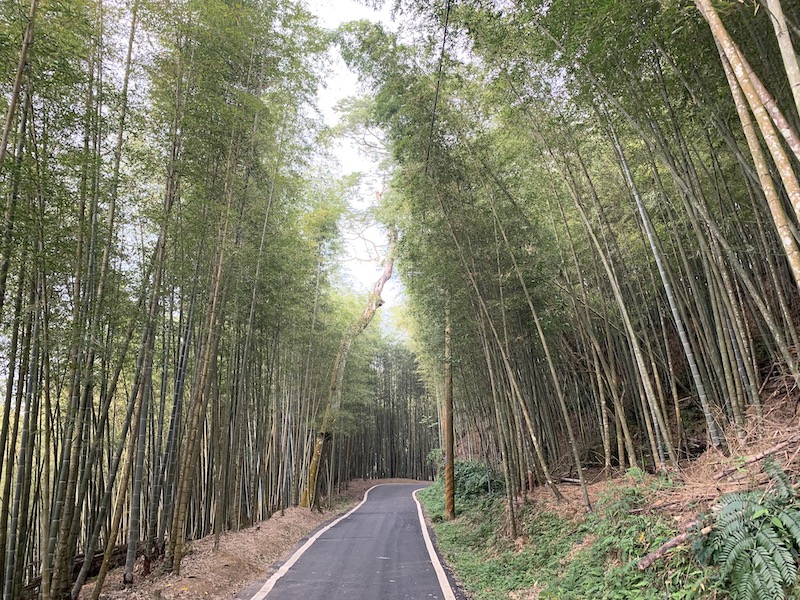 來睡覺就有優惠　嘉縣送住房千元Q碰券 - https://www.watchmedia01.com