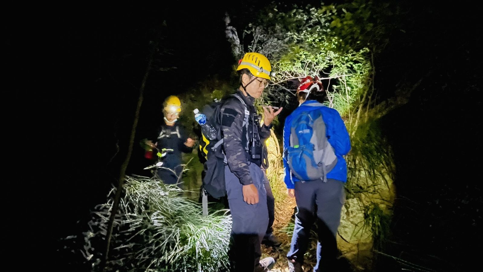 快訊（有影片）／健行好手獨闖高雄南柴山迷失　全身多處慘遭毒植物刺傷送醫 - https://www.watchmedia01.com