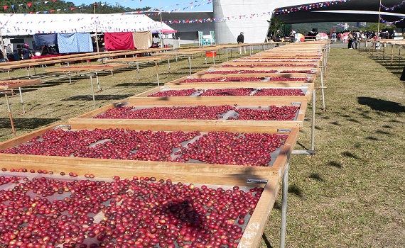 日月潭農樂園行銷活動-向山採集 - https://www.watchmedia01.com