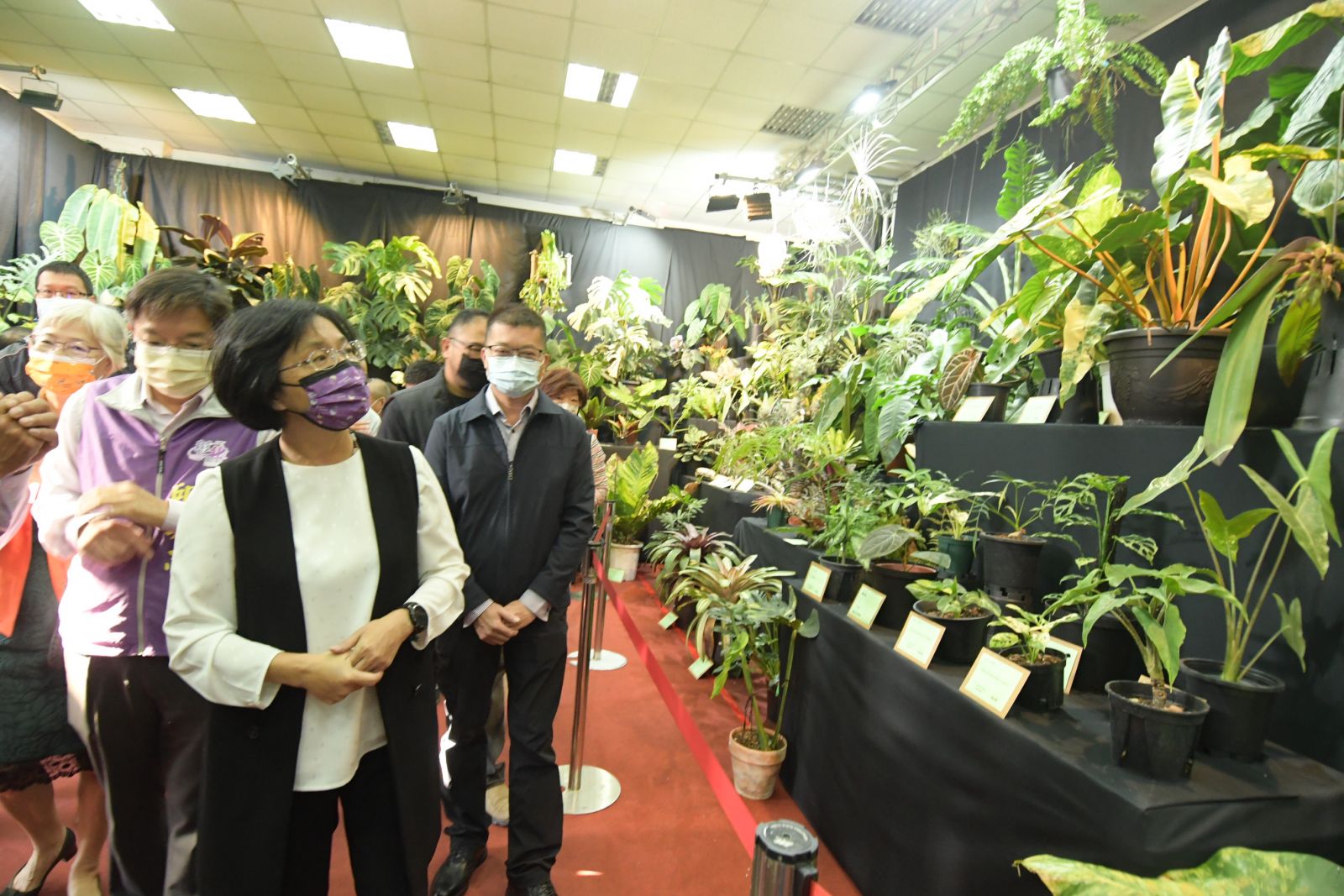 影／花的故鄉療癒爆表　熱帶雨林植物、蕨類、多肉植物　珍奇植物一次看個夠 - https://www.watchmedia01.com
