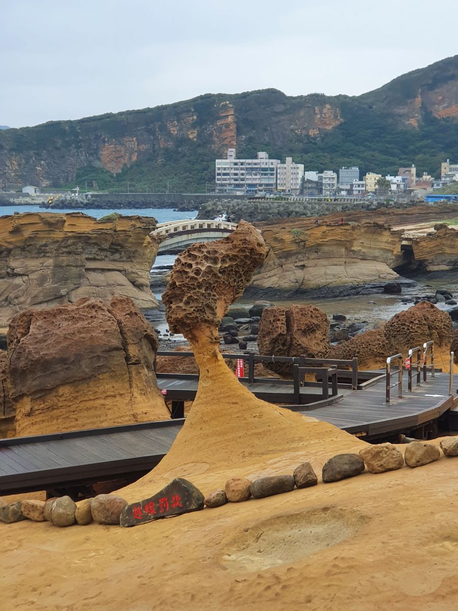 秋遊金山萬里 名人帶路泡湯趣 - https://www.watchmedia01.com