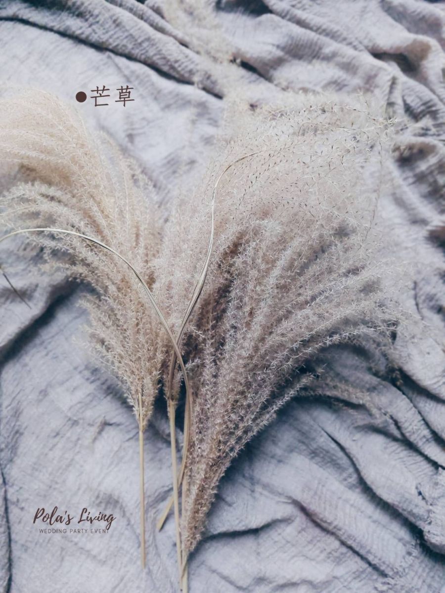 花藝的日常 聖誕鈴聲響 茫茫仁草聖誕花圈製作 - https://www.watchmedia01.com