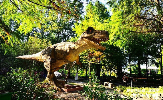 平安夜南投玩很大 獎十萬花卉主題日登場 - https://www.watchmedia01.com