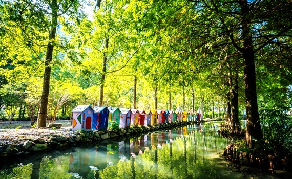 平安夜南投玩很大 獎十萬花卉主題日登場 - https://www.watchmedia01.com