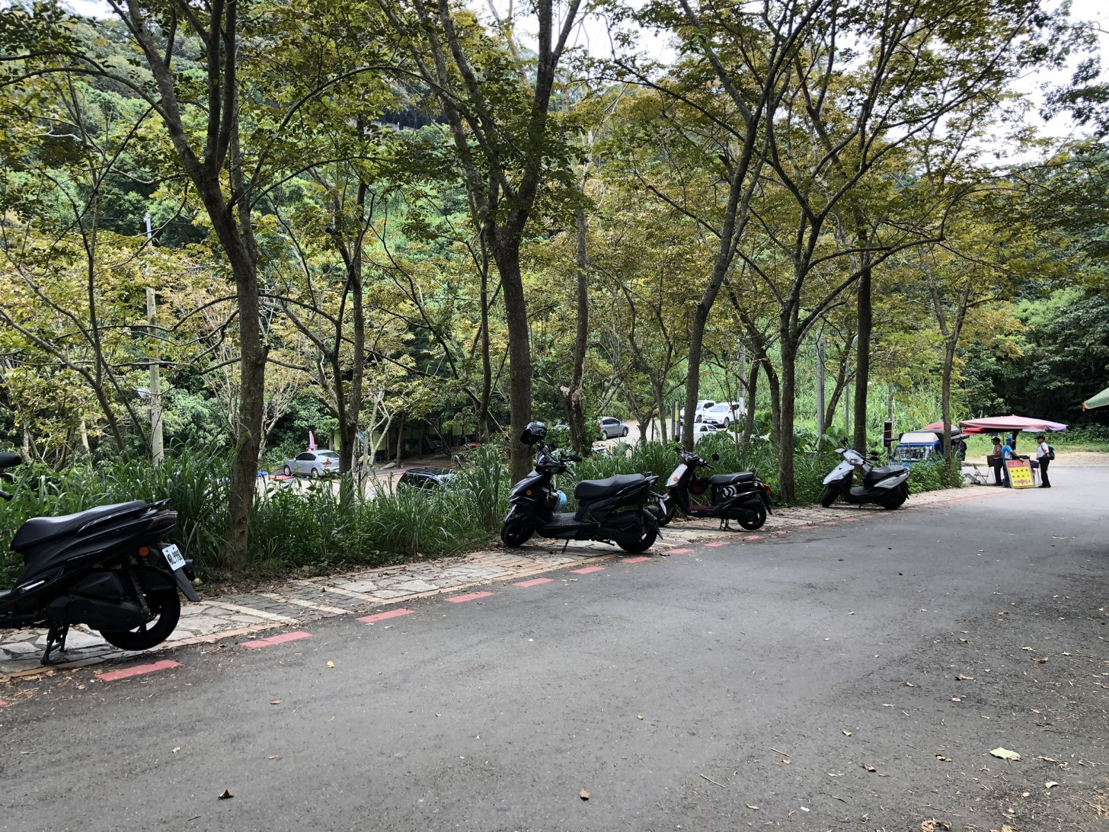 影／福虎生豐！彰化111年元旦升旗典禮移師員林市藤山步道 - https://www.watchmedia01.com