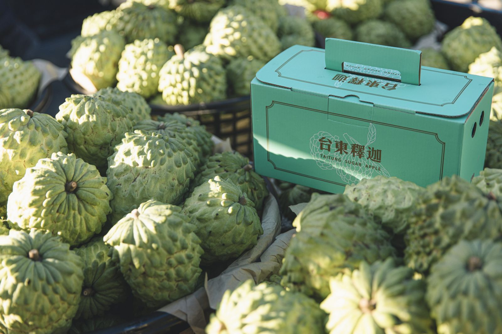 甜美台東鳳梨釋迦 饒慶鈴邀民眾一起吃釋迦過好年 - https://www.watchmedia01.com