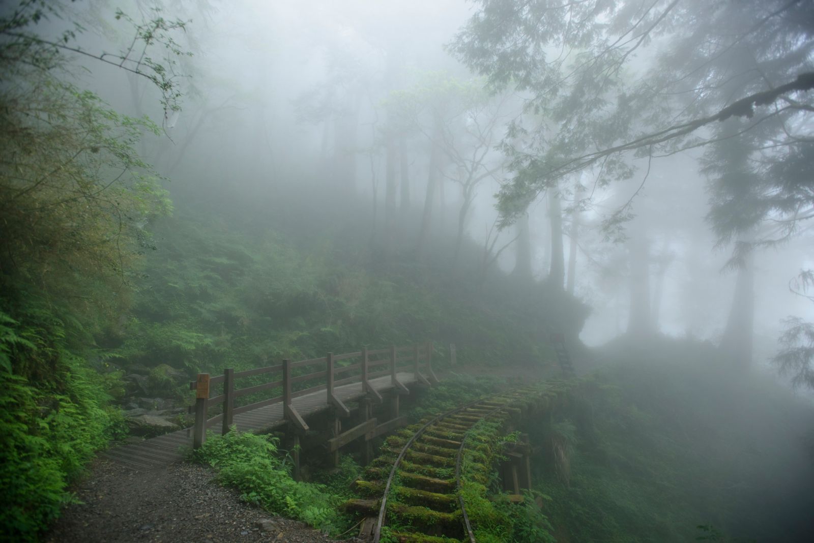 春節太平山旅遊 攻略報您知 - https://www.watchmedia01.com