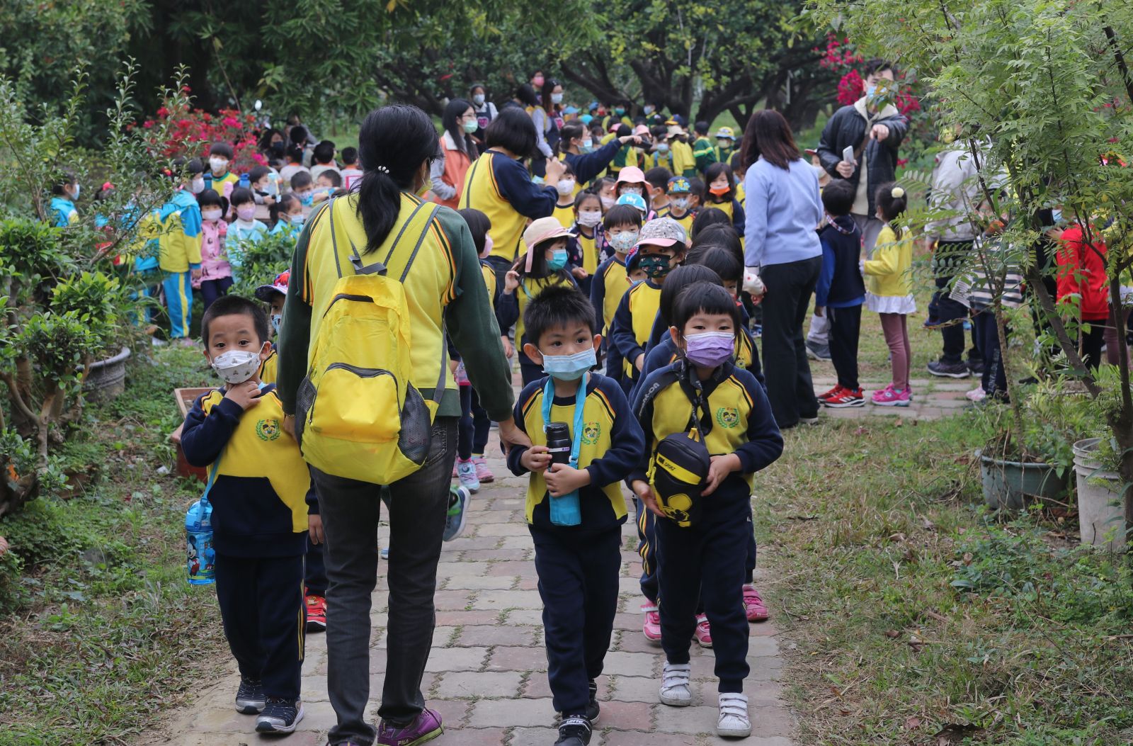 茂谷柑盛產季幼童生態教學　斗六千名學童認識家鄉特產 - https://www.watchmedia01.com