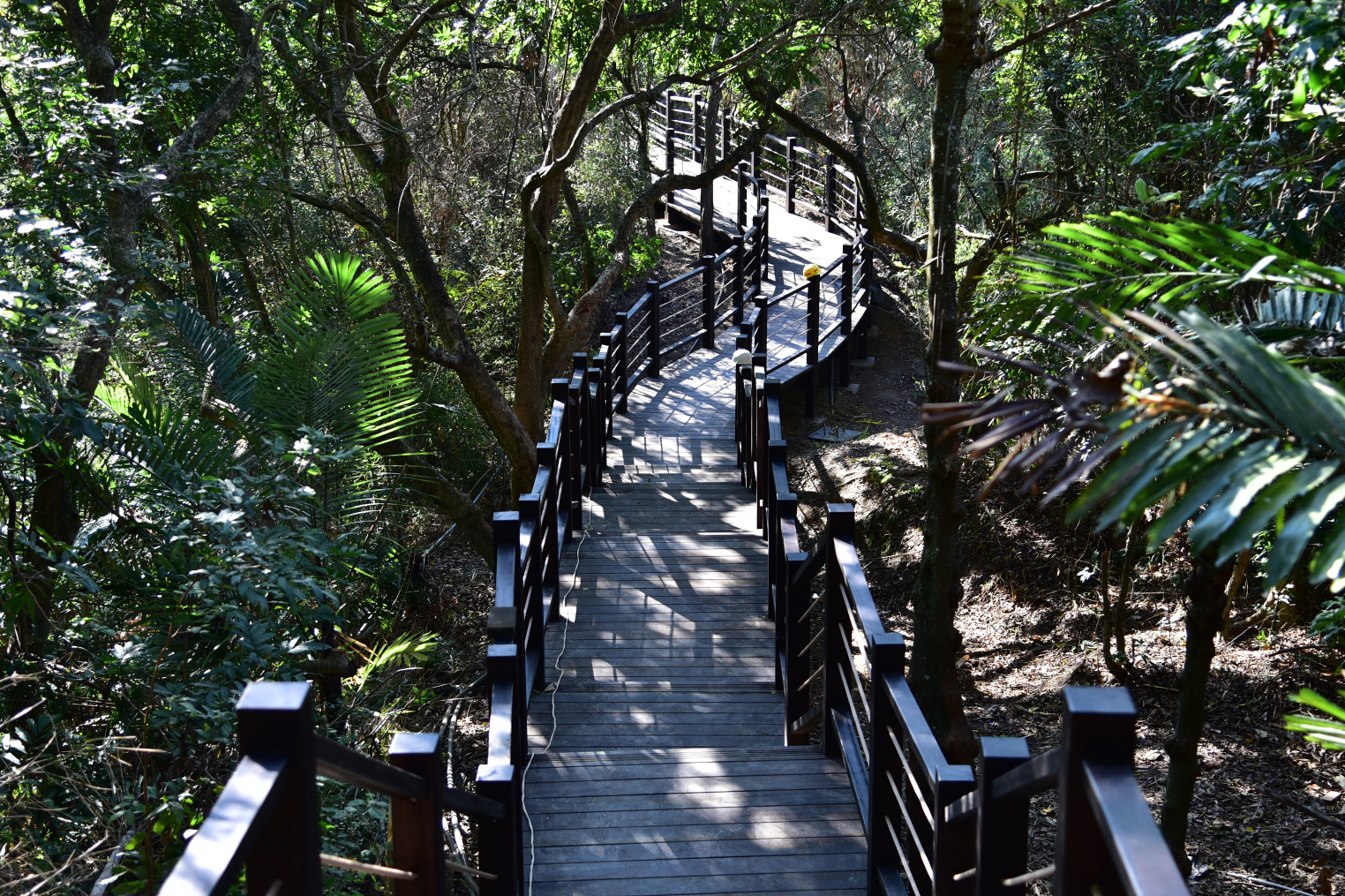 安全舒適再升級 中市大坑步道整修完成增設遮陽花架 - https://www.watchmedia01.com