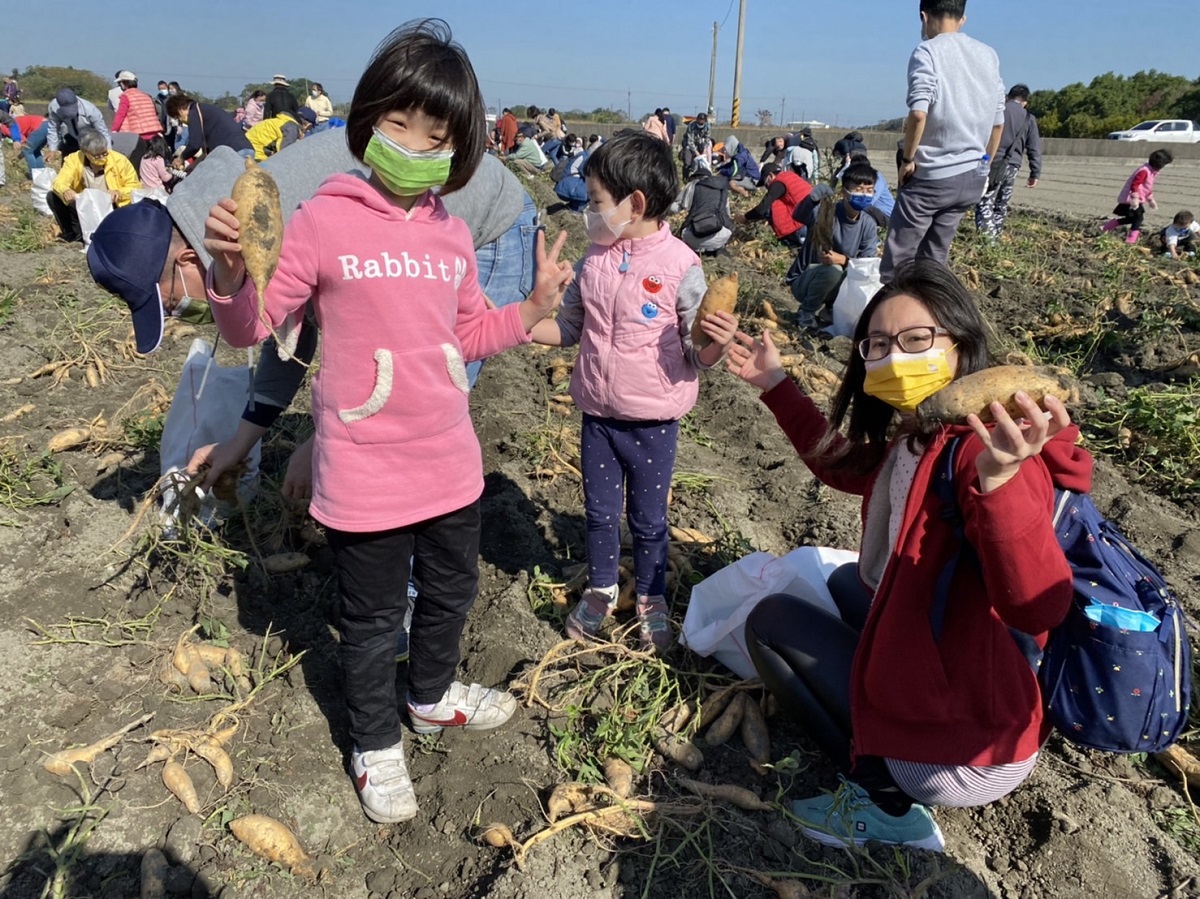 影/台電雲林區處契作助農民 員眷採收地瓜享田園樂趣 - https://www.watchmedia01.com