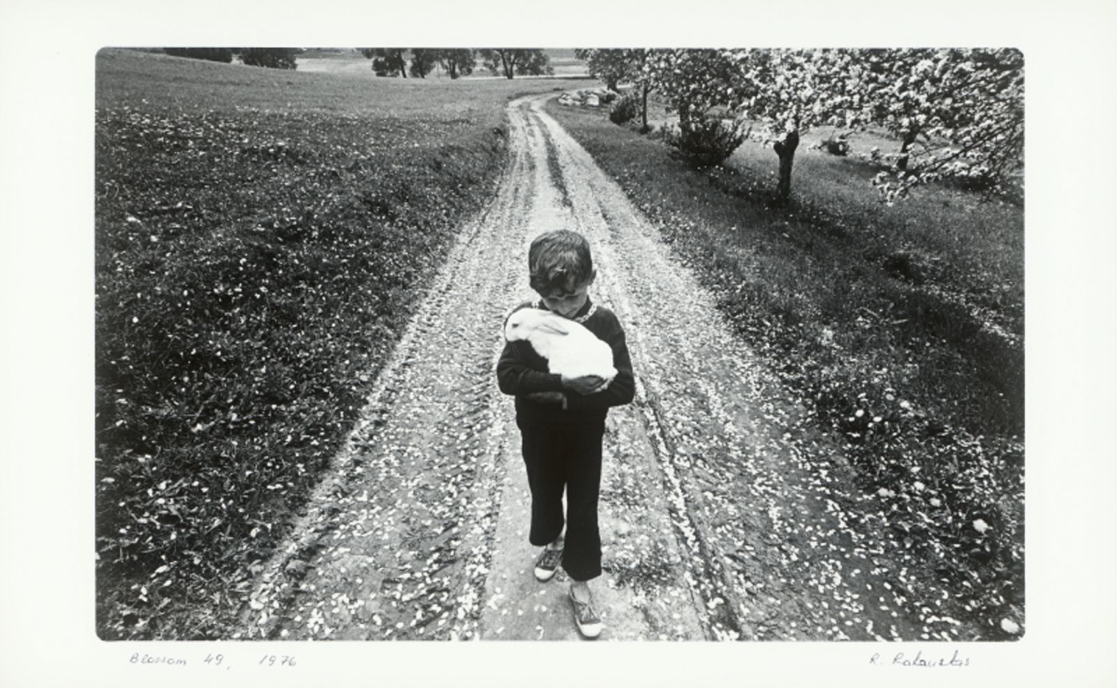 國美館2022年展覽計畫 疫情下展現豐沛藝術能量 - https://www.watchmedia01.com