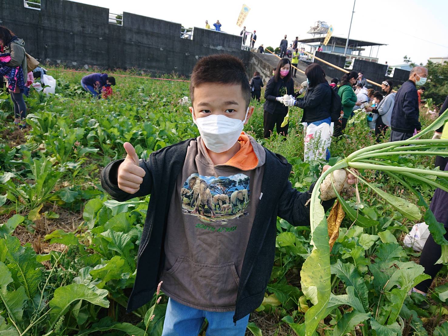 拔蘿蔔好好玩 中市阿罩霧好彩頭親子田間體驗趣 - https://www.watchmedia01.com
