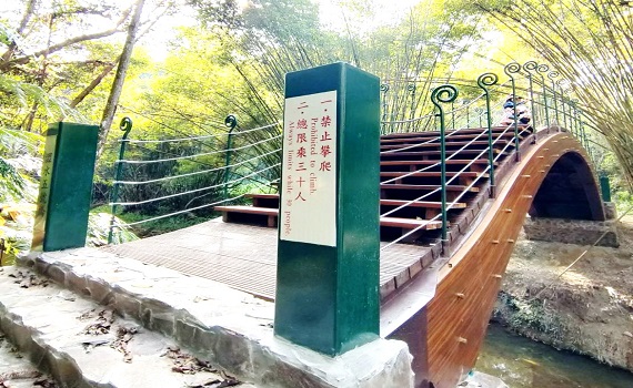 南投林管處打造澀水森林步道新景點,倘佯森林悠境-景觀橋完成啓用 - https://www.watchmedia01.com