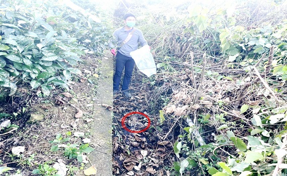 虎年現虎踪 魚池鄉首度發現石虎足跡 - https://www.watchmedia01.com