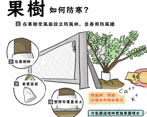 預期寒流等級低溫　嘉義縣政府宣導農作物防寒做法 - https://www.watchmedia01.com
