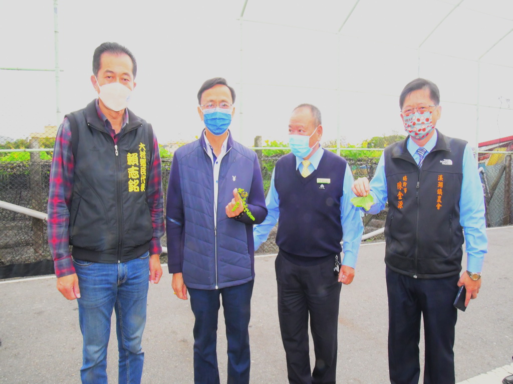 寒雨走了葡萄傷了 彰化葡萄產地嚴重寒害王惠美縣長勘災 - https://www.watchmedia01.com