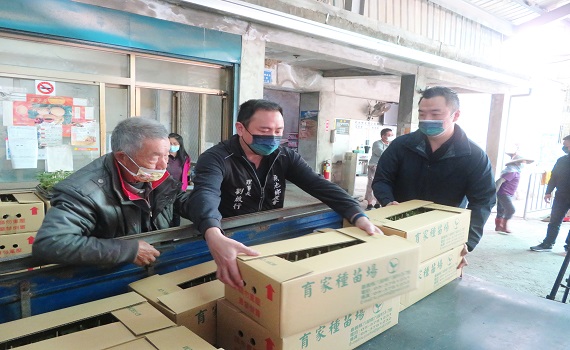 南投魚池鄉農會頭社分部發放第一批絲瓜嫁接苗 - https://www.watchmedia01.com