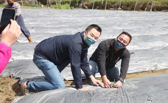 南投魚池鄉農會頭社分部發放第一批絲瓜嫁接苗 - https://www.watchmedia01.com