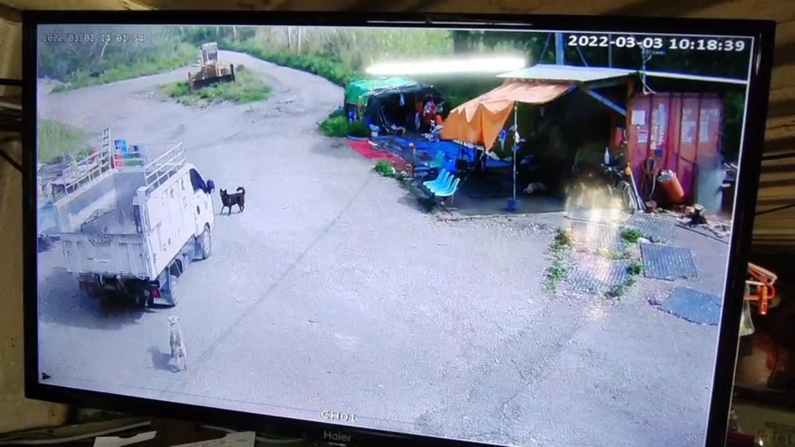 影／大村鄉公所清潔隊員載運流浪狗途中撞傷浪犬 愛媽指控蓄意 - https://www.watchmedia01.com