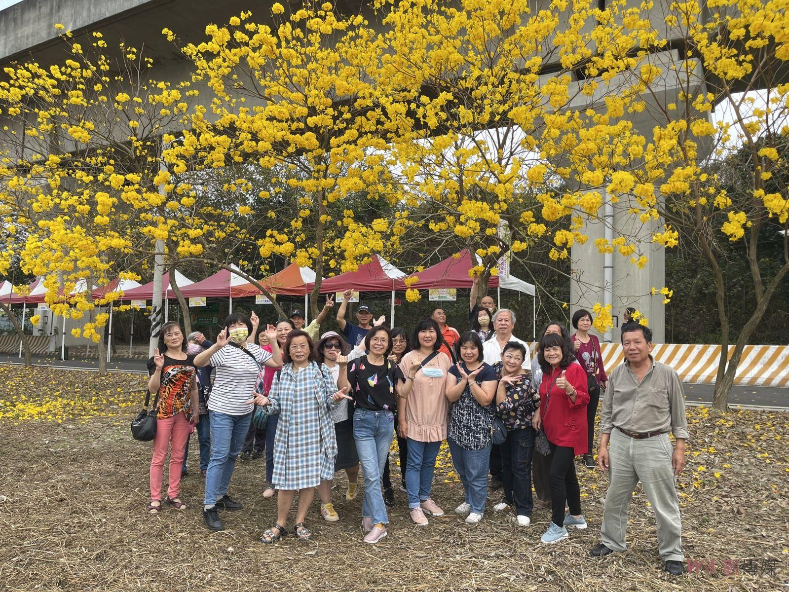 風靡樂活黃金雨　賞花秘境報你哉 - https://www.watchmedia01.com