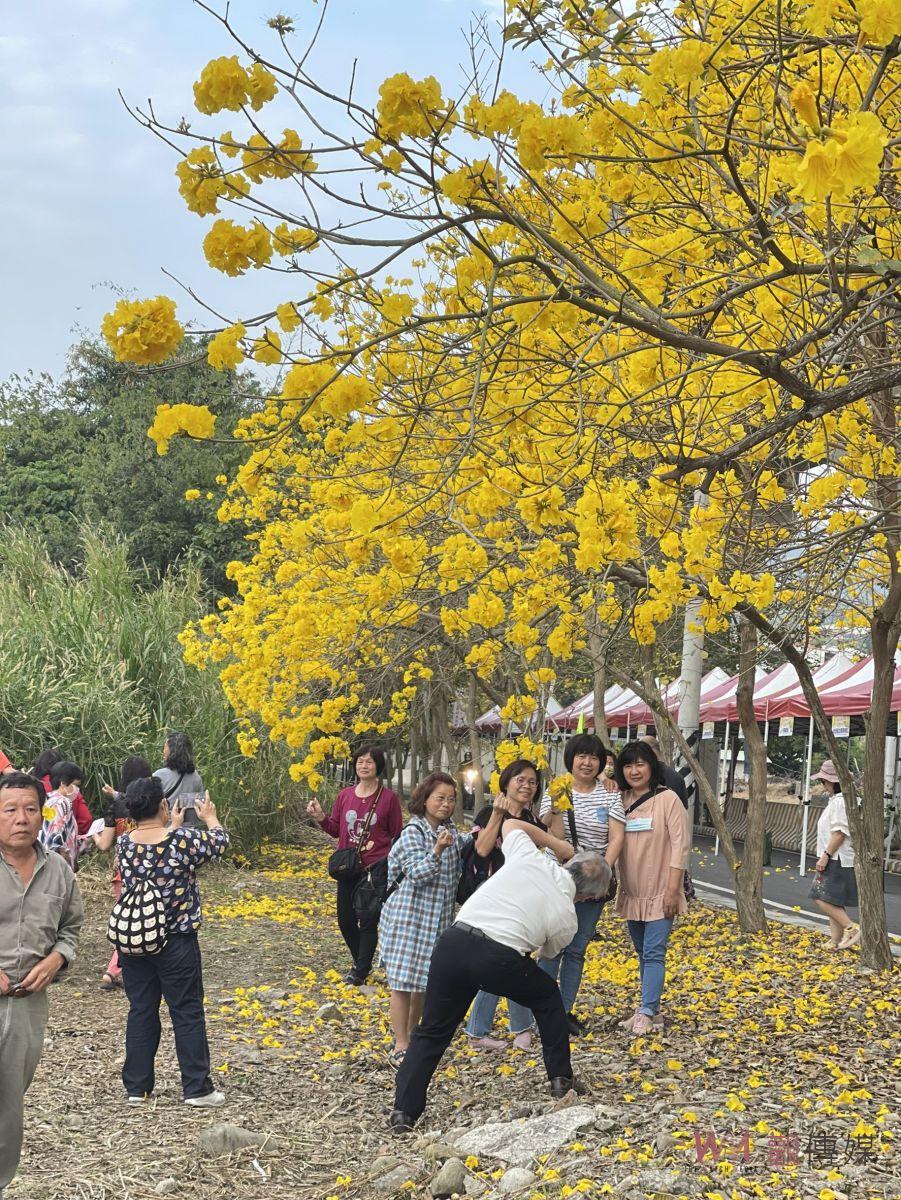 風靡樂活黃金雨　賞花秘境報你哉 - https://www.watchmedia01.com