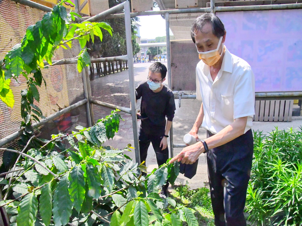 永興國小食農教育-咖啡完全攻略 從種出咖啡豆到產出禮盒 - https://www.watchmedia01.com