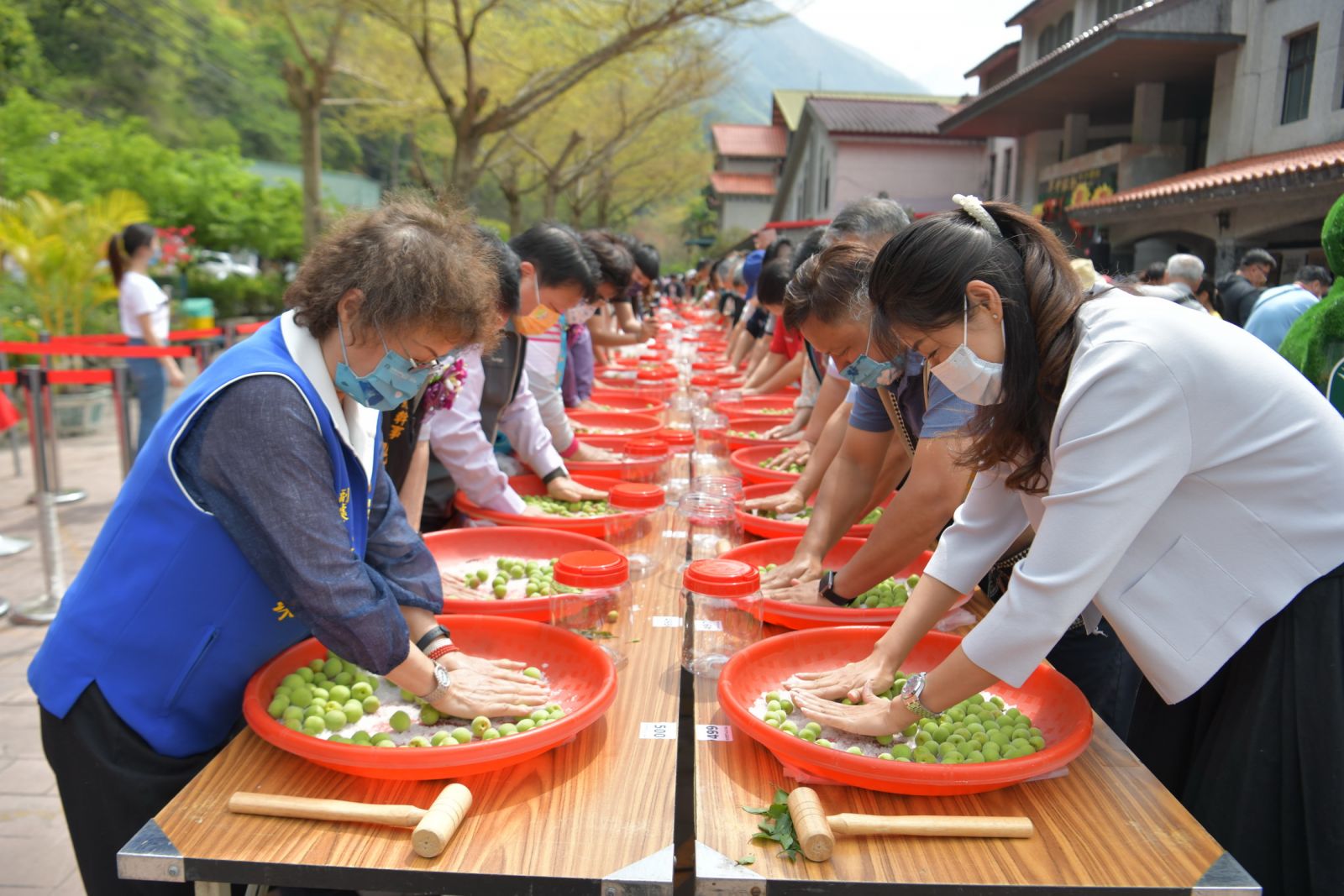 南投梅子節開幕　500人齊聚信義農會體驗製梅DIY - https://www.watchmedia01.com