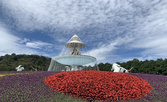 春假四連休 九族文化村萬坪薰衣草花園萬紫千紅迎賓接客 - https://www.watchmedia01.com
