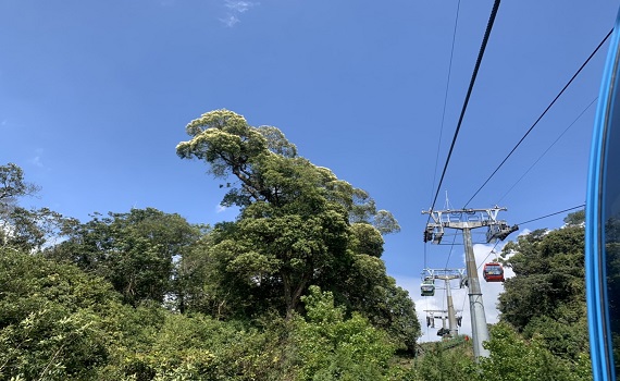 春假四連休 九族文化村萬坪薰衣草花園萬紫千紅迎賓接客 - https://www.watchmedia01.com