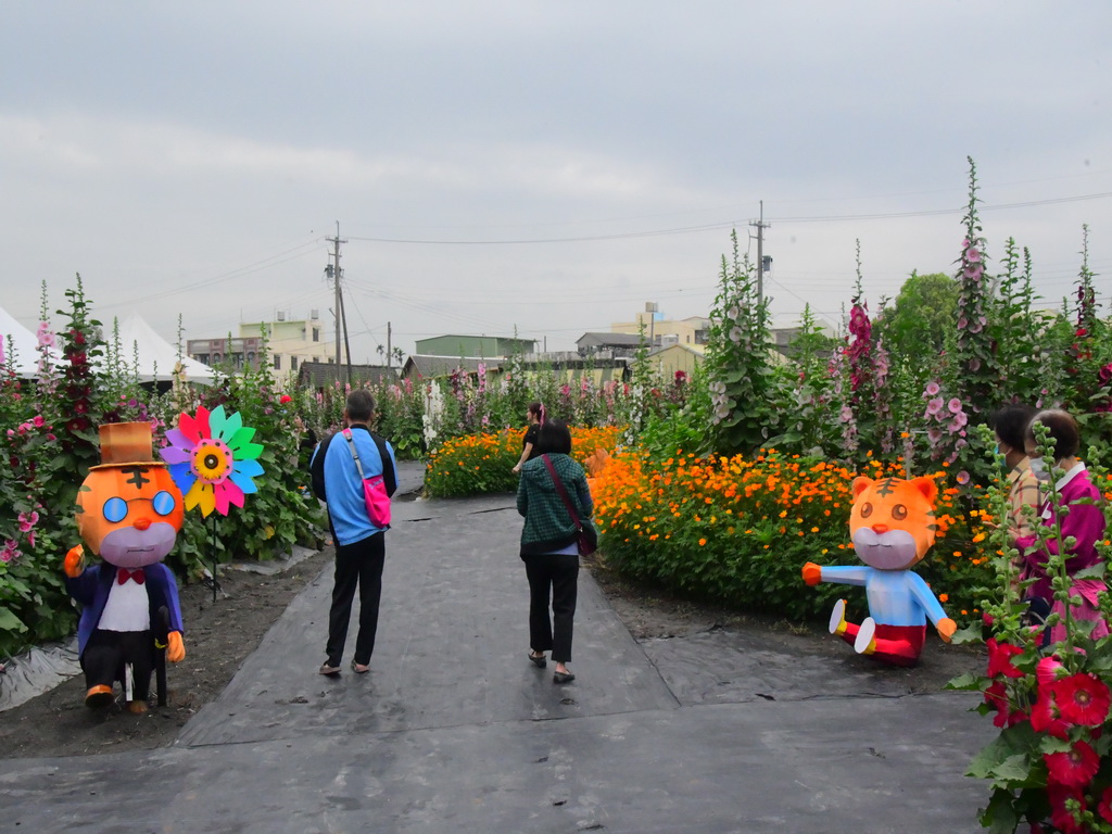 員林蜀葵花名列全國追花必遊景點 游振雄市長歡迎國人賞花享美食 - https://www.watchmedia01.com
