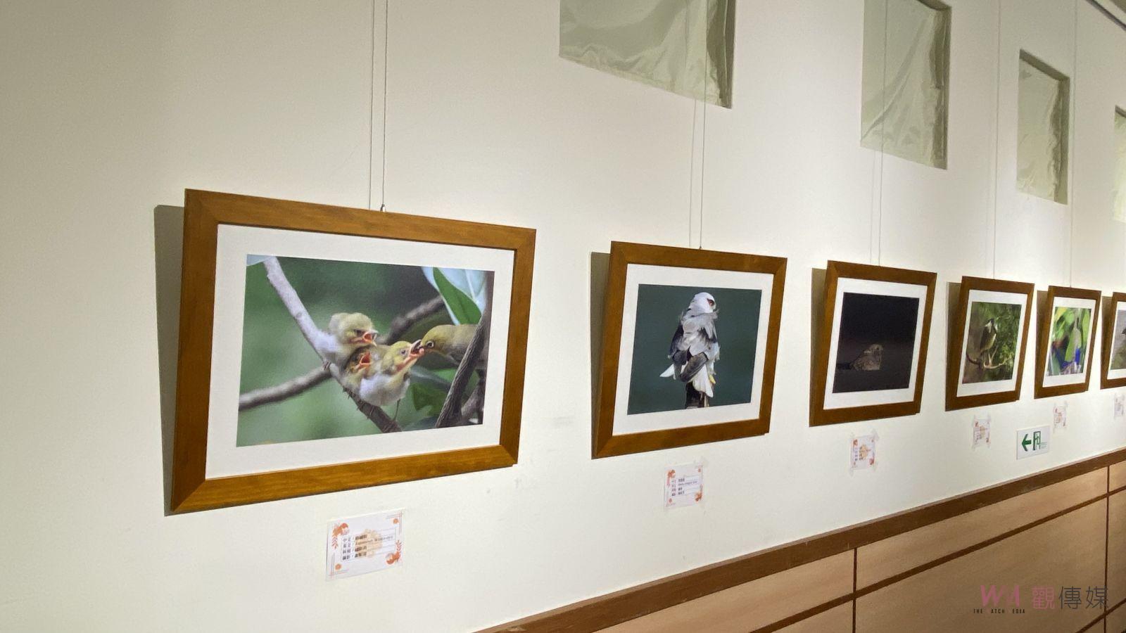 影／生態校園！溪湖高中鳥類攝影展　靈魂人物說鳥的故事 - https://www.watchmedia01.com