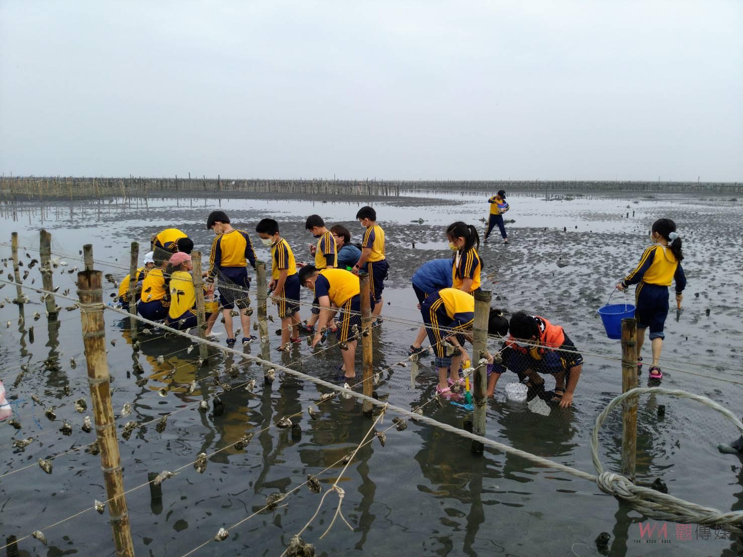 CP值高 王功潮間帶環教小旅行正夯 - https://www.watchmedia01.com