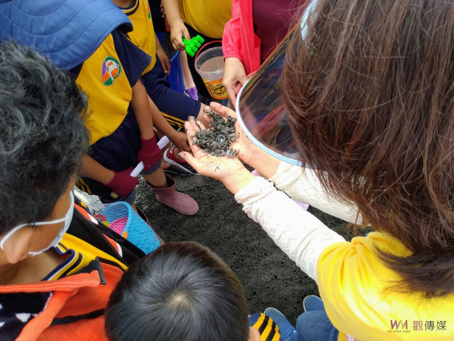 CP值高 王功潮間帶環教小旅行正夯 - https://www.watchmedia01.com