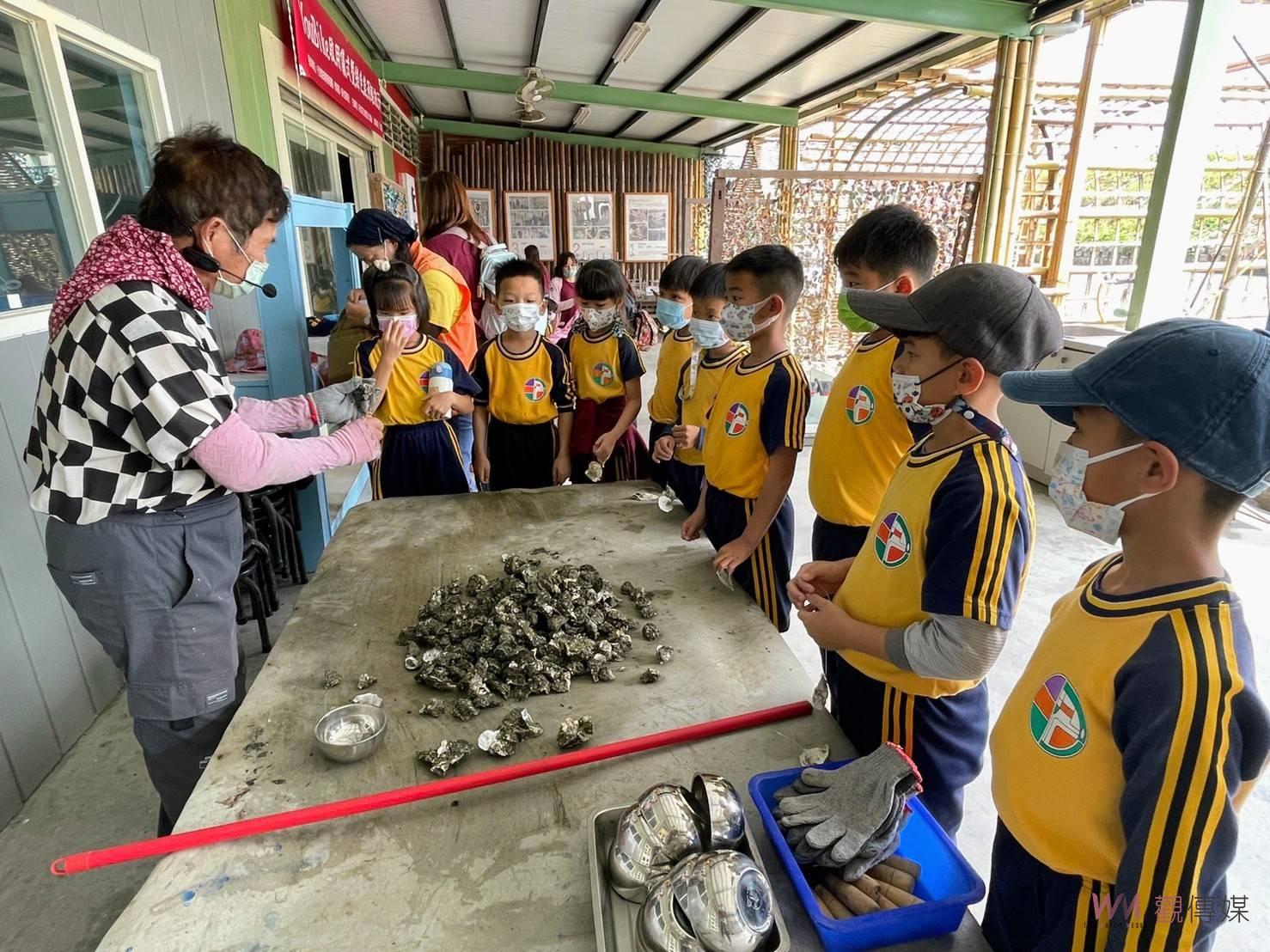 CP值高 王功潮間帶環教小旅行正夯 - https://www.watchmedia01.com