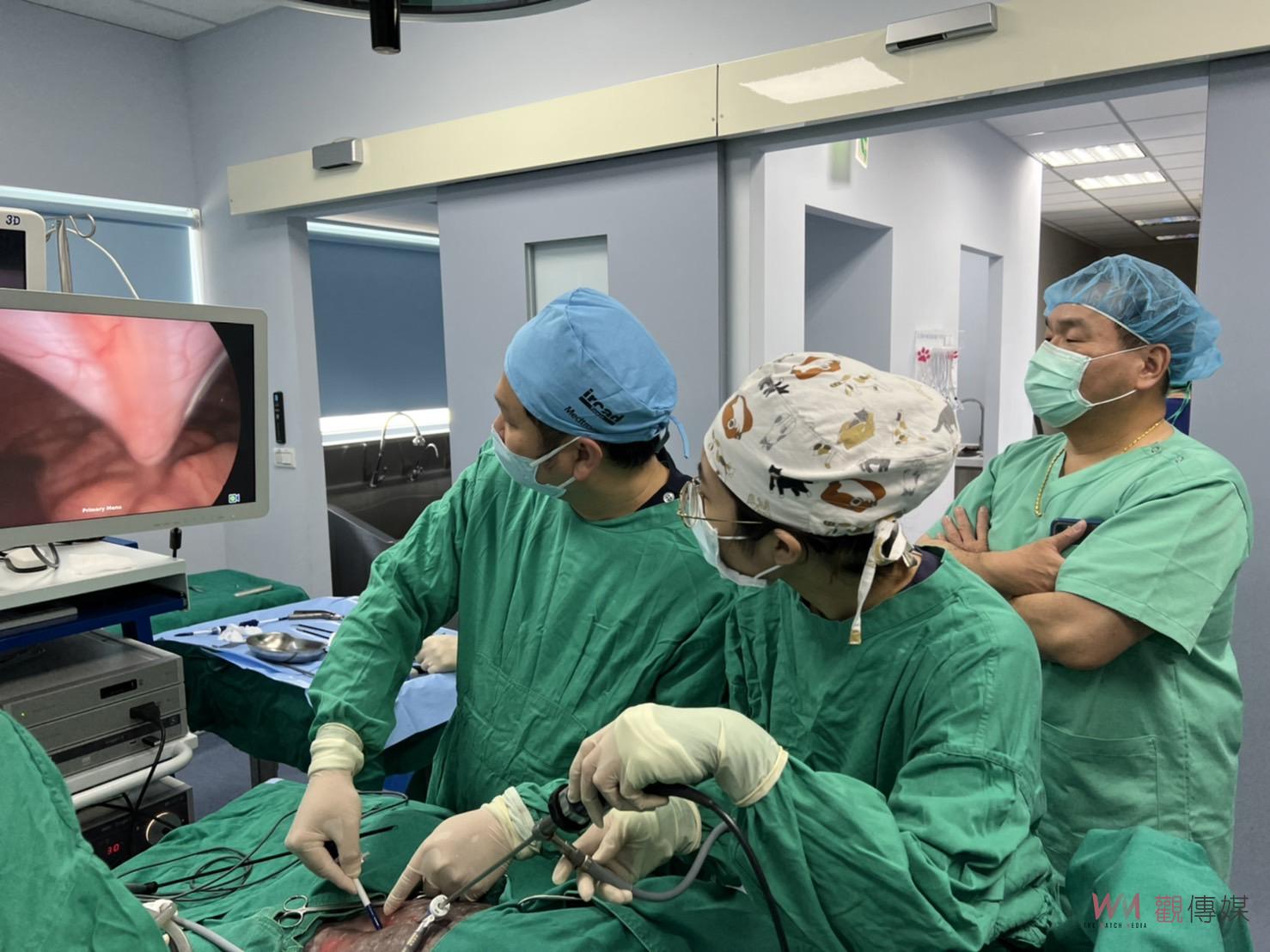 影／造福更多毛小孩　傳騏動物醫院公益舉辦100隻浪浪微創絕育手術 - https://www.watchmedia01.com