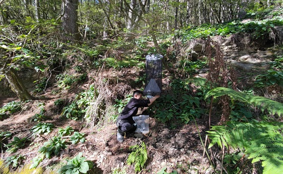 玉山國家公園37歲生日，「山林棲地保育」面面觀 - https://www.watchmedia01.com